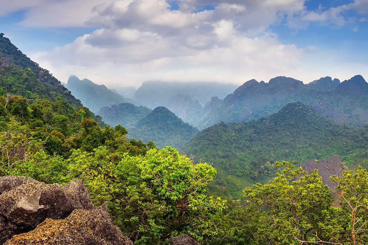 Corbett Jungle photo 3 of 6