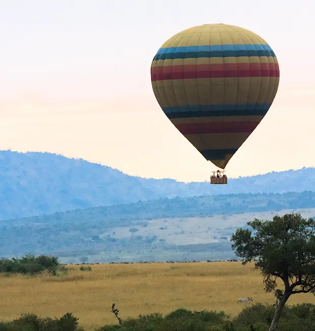 Hot air balloon rising over green countryside
