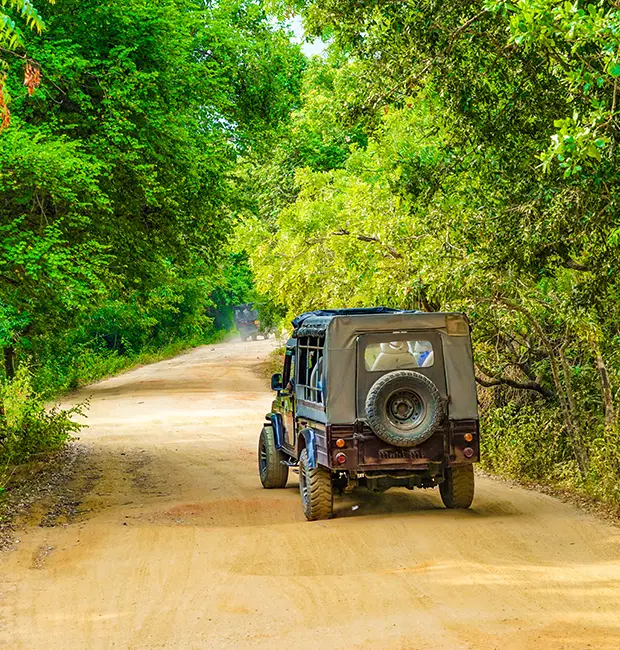 Jeep safari vehicle on a Corbett forest trail