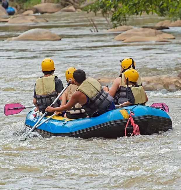 Rafters paddling through river rapids