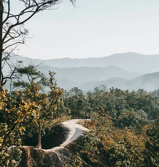 Scenic view near Jim Corbett National Park