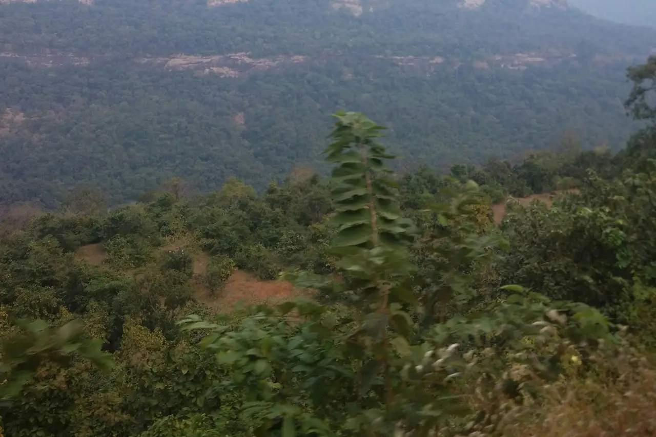 Sightseeing-1